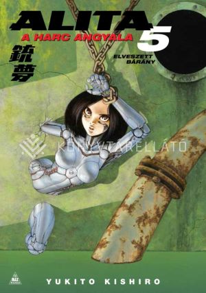 Kép: Alita, a harc angyala 5.