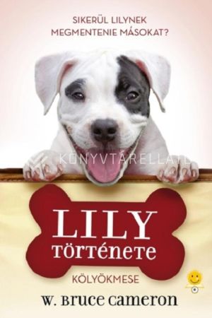 Kép: Lily története