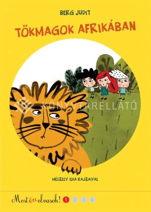 Kép: Tökmagok Afrikában