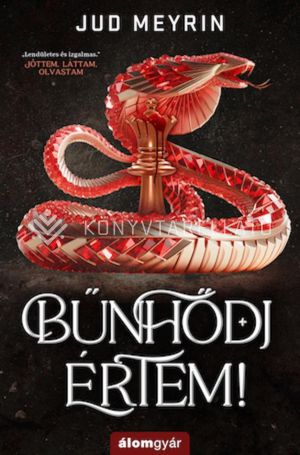 Kép: Bűnhődj értem!