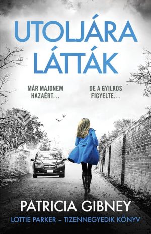 Kép: Utoljára látták - Lottie Parker 14.