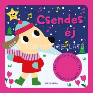 Kép: Csendes éj