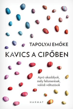 Kép: Kavics a cipőben - Apró akadályok, mély felismerések, valódi változások