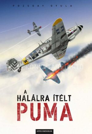 Kép: A halálra ítélt Puma - képregény
