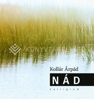 Kép: Nád