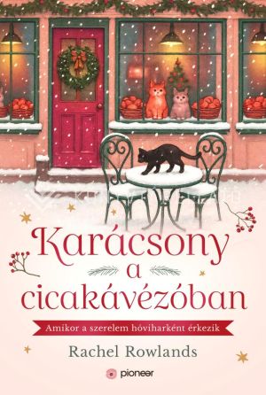 Kép: Karácsony a cicakávézóban