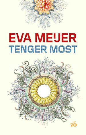 Kép: Tenger Most