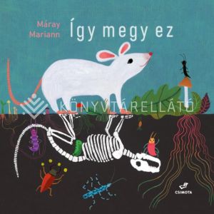 Kép: Így megy ez