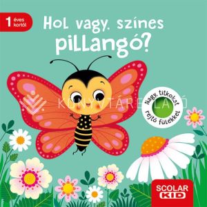 Kép: Hol vagy, színes pillangó?