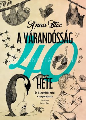 Kép: A várandósság 40 hete - És 81 további mód a szaporodásra
