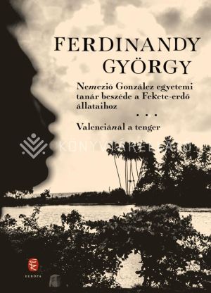 Kép: Nemezió González egyetemi tanár beszéde a Fekete-erdő állataihoz - Valenciánál a tenger