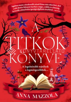 Kép: A titkok könyve (éldekorált)