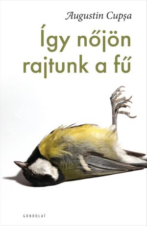 Kép: Így nőjön rajtunk a fű