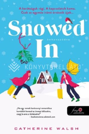 Kép: Snowed In – Behavazódva