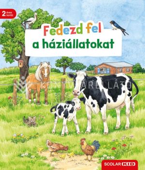 Kép: Fedezd fel a háziállatokat