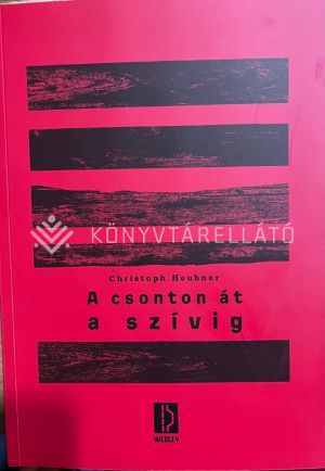 Kép: A csonton át a vízig