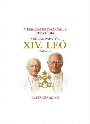 Kép: A keresztényszociális stratégia