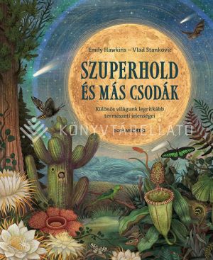 Kép: Szuperhold és más csodák