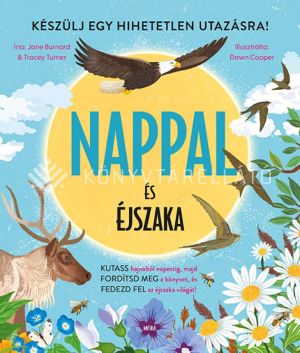 Kép: Nappal és éjszaka