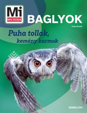 Kép: Mi MICSODA Baglyok – Puha tollak, kemény karmok