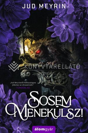 Kép: Sosem menekülsz!  (élfestett)