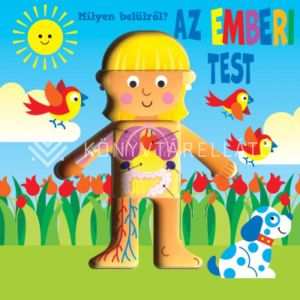 Kép: Milyen belülről? - Az emberi test