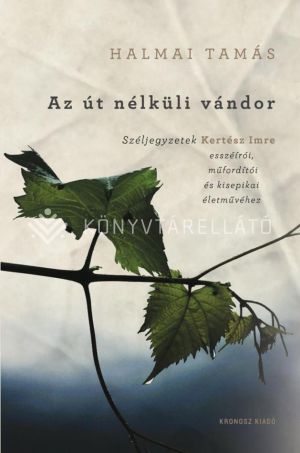 Kép: Az út nélküli vándor