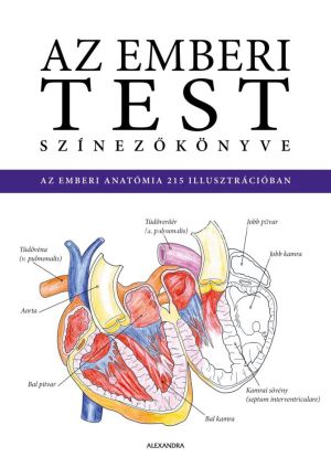 Kép: Az emberi test színezőkönyve