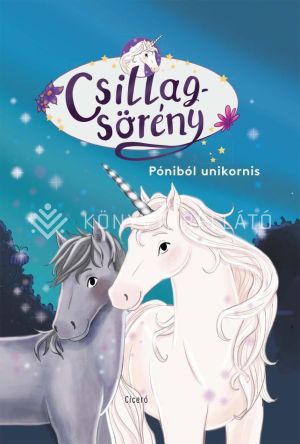 Kép: Póniból unikornis - Csillagsörény 1.
