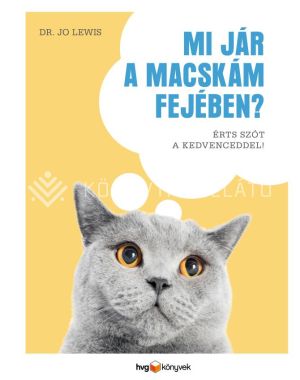 Kép: Mi jár a macskám fejében?