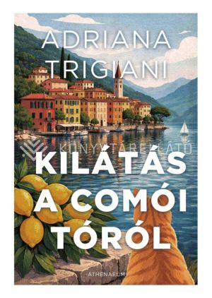 Kép: Kilátás a Comói-tóról