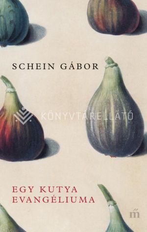 Kép: Egy kutya evangéliuma