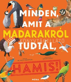 Kép: Minden, amit a madarakról tudtál, HAMIS