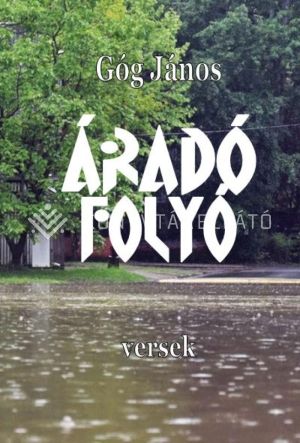 Kép: Áradó folyó