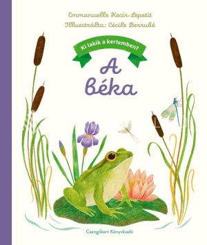 Kép: Ki lakik a kertemben? - A béka