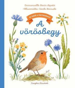 Kép: Ki lakik a kertemben? - A vörösbegy