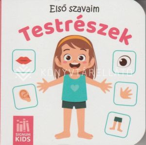 Kép: Első szavaim - Testrészek (Minileporelló)
