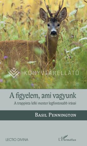 Kép: A figyelem, ami vagyunk