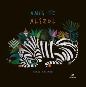 Kép: Amíg te alszol