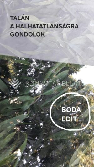 Kép: Talán a halhatatlanságra gondolok