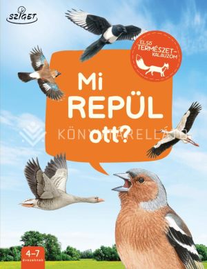 Kép: Mi repül ott?