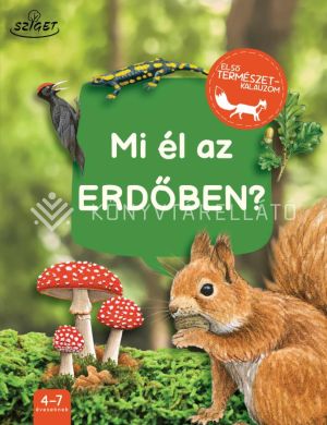 Kép: Mi él az erdőben?