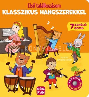 Kép: Első találkozásom klasszikus hangszerekkel