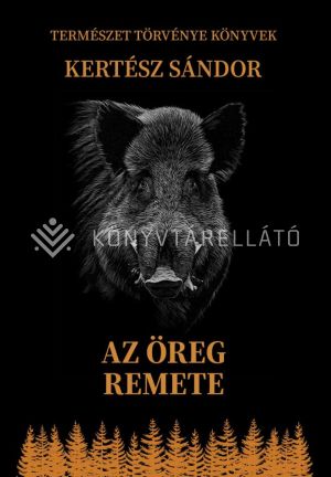 Kép: Az öreg remete