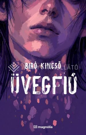 Kép: Üvegfiú
