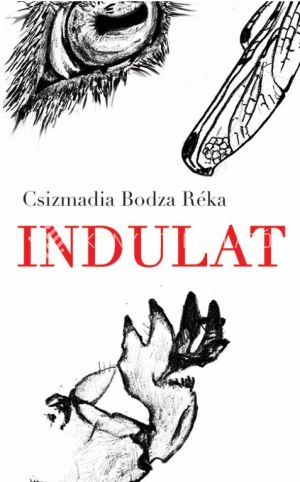 Kép: Indulat