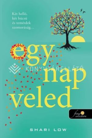 Kép: Egy nap veled