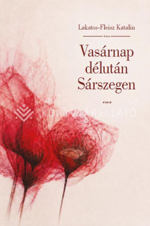 Kép: Vasárnap délután Sárszegen