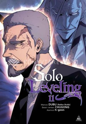 Kép: Solo Leveling 11.