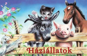 Kép: Háziállatok